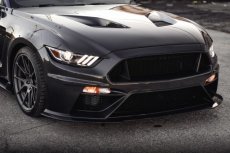 15-17 Mustang Motorkap GT Style TT Carbon