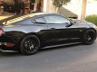 Ford Mustang S550 Louvers Eleanor Mustang S550 Louvers 5 Eleanor