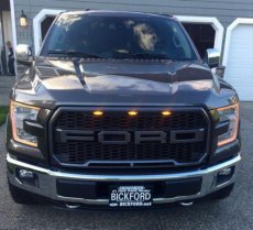 Ford F-150 Grille Raptor Style + LED F-150 15-17 Grille Raptor Style + Licht