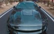 Ford Mustang S550.2 Hood CARBON Transparent 18-23 Mustang Motorkap CARBON Transparent
